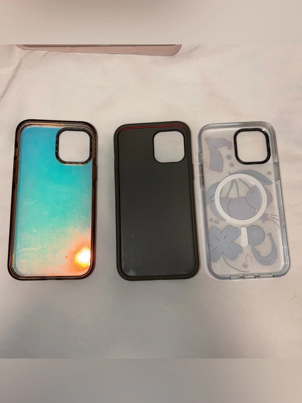 iPhone 12 Pro Max cases